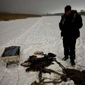 ���������� ��������������� ������������ ������� �������� ���������� ����� ����