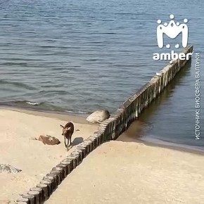 ������, ������� 8 ����� ������ �� ���� � �������������, �� ����� ���� ��-�� ��������� �����