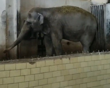 ��� ����� ������� �� �������� � ������������