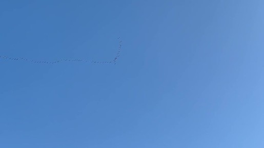 ���� ��������� ���� ��� �������� �����