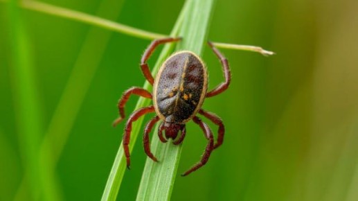 ������ ���� ��������� ���������� �� ������ � ������������ �������� 13 �����