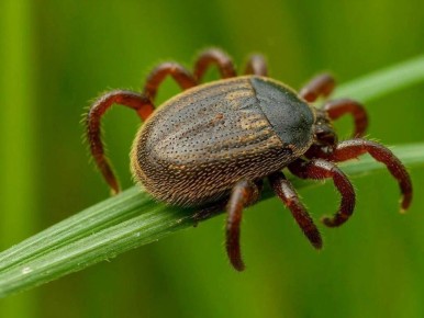 ����� �������: � 13 �� 25 ����� ������� 1 ���� ����������� ��������� ������, ��������, ��� ������ �� ��������