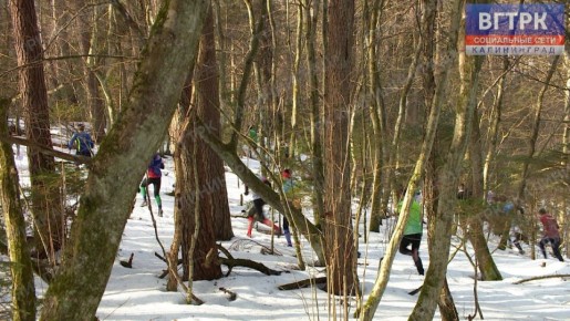 ����������� �� ��������� ���� ���� ������� ����������� �������������� ������