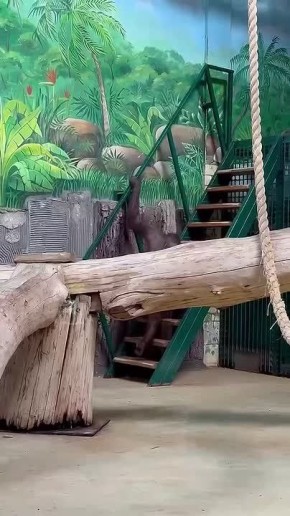 � ��������������� �������� ������� ����� ����������