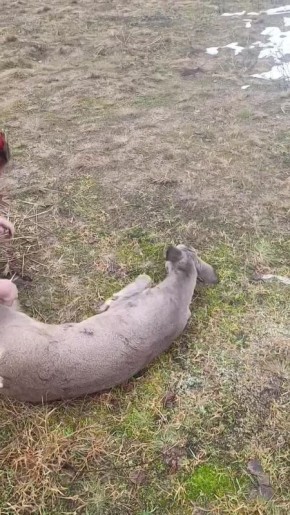 �����, ��������!�: ��������� �� ���� �������� �� ���� � ������� ������