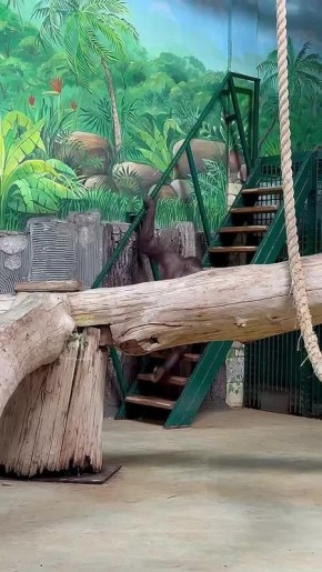 � �������� � ����������� ���� � ������ ������� ���