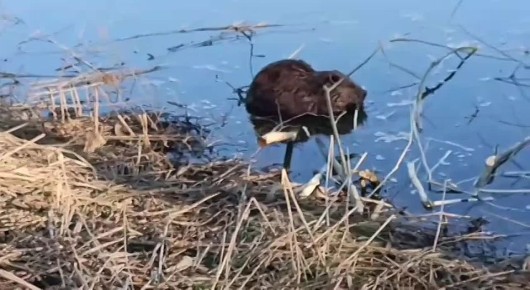 �� �������� ���� ��������� �� ������� ����� �������� � ����