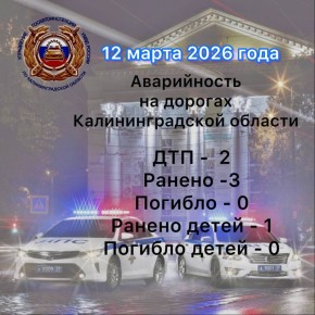 �� ����� ������������ ���������������� �������� 4540 ��������� ������ ��������� ��������, � ��� �����: