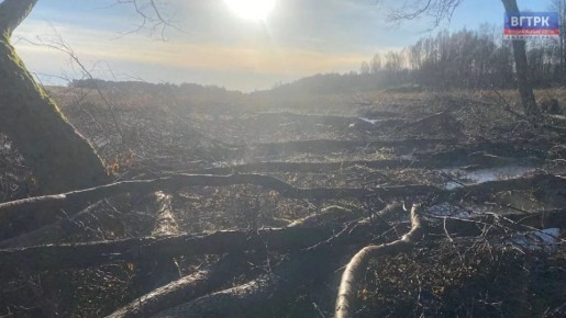 ������ ����� ����� ��� �����-���� ����������