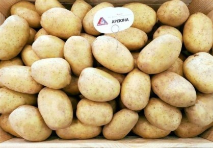 Картофель Аризона: преимущества желтого сорта для вашего урожая