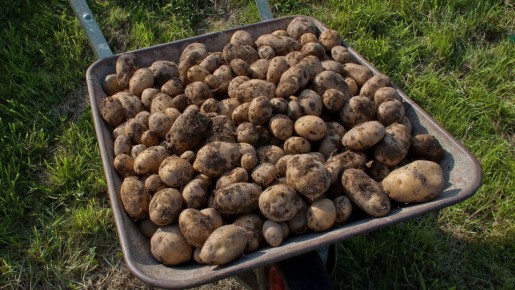 ����� �� ������ ��������� � �����?