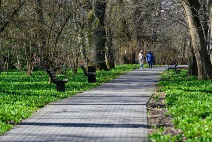 Весной «скачет» давление? Это не просто капризы погоды