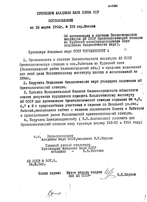 70 лет назад на Куршской косе появилась орнитологическая станция