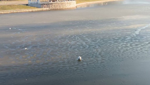 ����� �������: ������� �������������, �� � ���� ������ �� �������� �� ���! ��� ������ ��� �����! ���������� ���������� �������� ����������� ������� ��� �������!