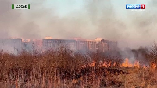 ����� � ��� �� ������ ��� �����, ������� � ���������