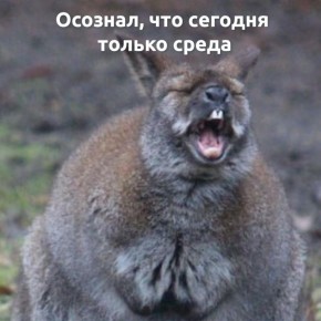 ���: �� ������� ������� �� ���������������� ��������