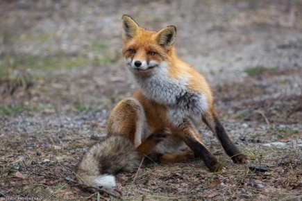 ���� � �������� ���� ��� ��� ������ � ��������� �������� ���