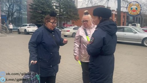 В Калининграде сотрудники Центра ДиТН ПБДД ГИБДД и ОБ ДПС ГИБДД в рамках специального профилактического мероприятия «Пешеход» провели пропагандистскую акцию «Стань заметнее на дороге!»