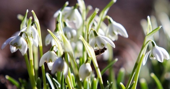 От заморозков к весеннему теплу: прогноз погоды в Калининграде и области на 22 марта