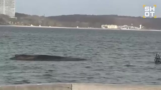 �������� ����������� ������ �������� ������� �������� ���� � ����, ����� ������ ����������� �� ���������� ����