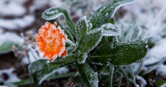 ��������� ��������, �� ��� ������� ������: ��������������� ��������� �������� ������� �� ��������� ������