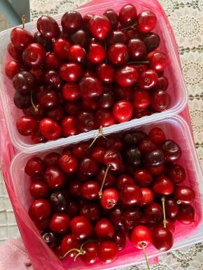 ������ ��������: ��� ���������� � ���� ������ ����