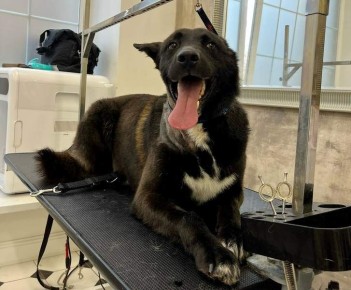 ��������� ������ ��������� �� ��� ������ �������������� ���������