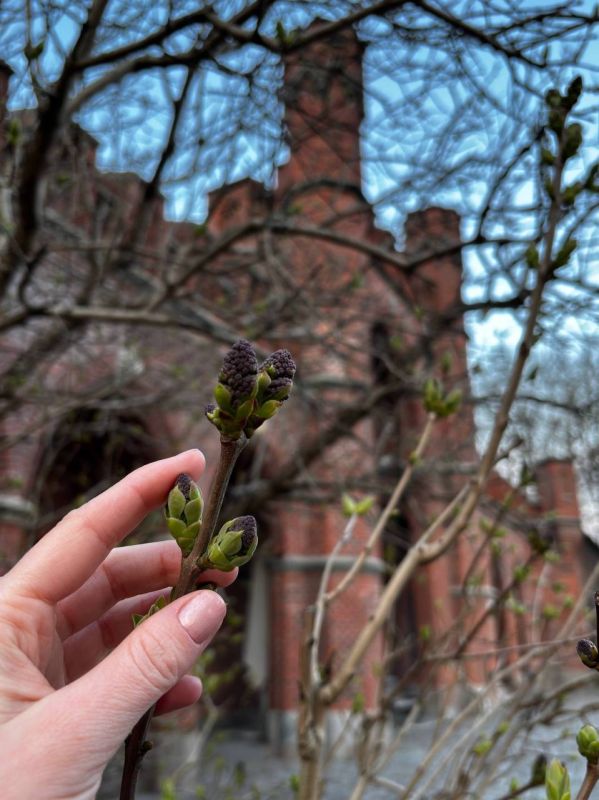 �� �����-������ ������ ����� ������� ������? �������� ���������� ����!