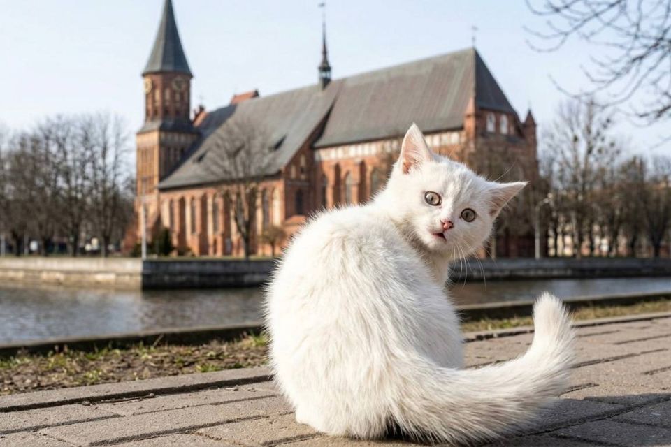 ������, � ��� ����� �����!