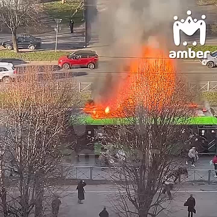 "�������! ������� �������!!!"