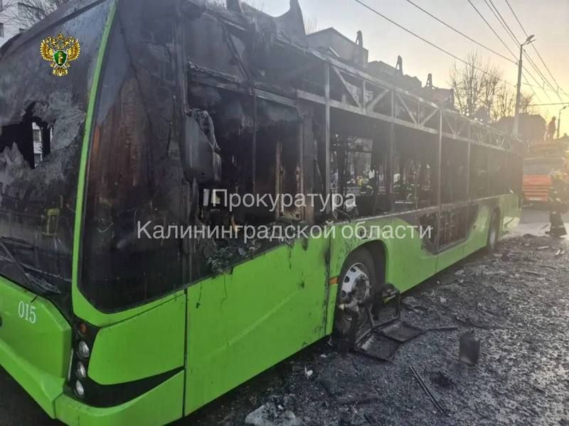 � ������������ �� ���� ��������� ���������� � �����������