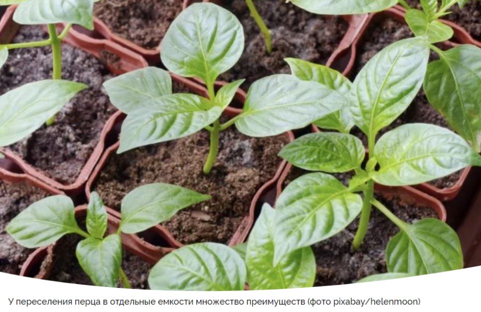 ��������� ������: ������� ��������� �������� � ����������� ��� � ������