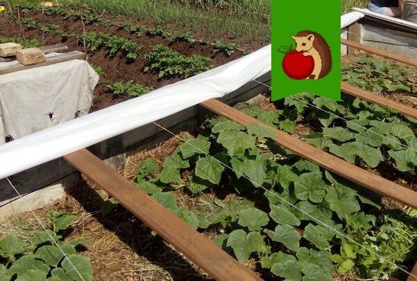 ��� �� � ���� �����������? ������� � ������� ������ �����!