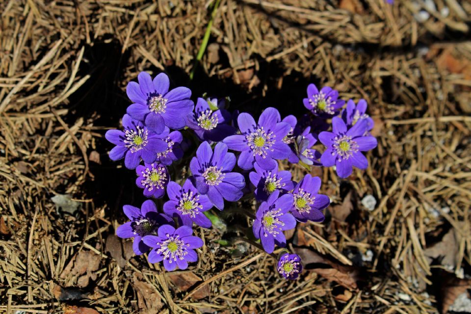 �������� ���������: ��������� ��� ������