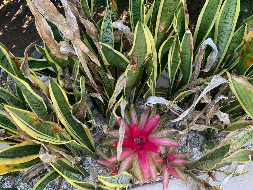 ����� � ��������: ��������� ���� ��������������