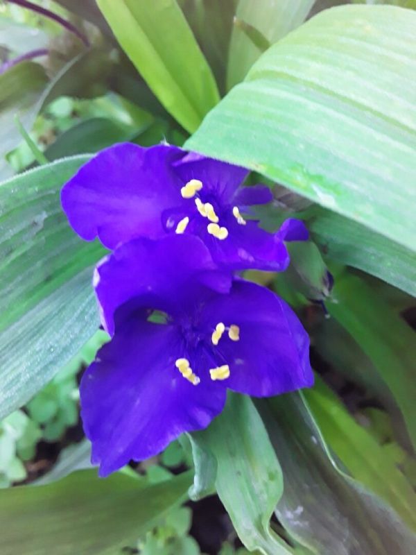 ��� �������� �����: ������ �������� ��� � ������ ������ � �������