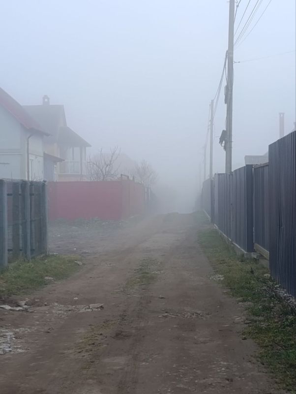 Ранним утром улицы Калининграда заволокло туманом