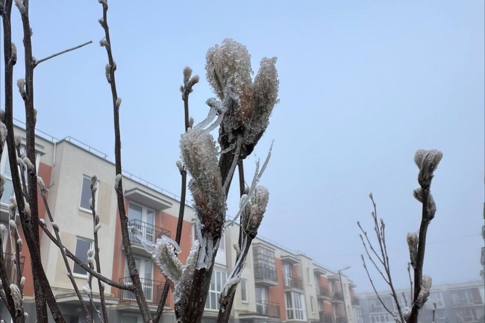 � �� ����� � ��������������� ������� �� ��� �������