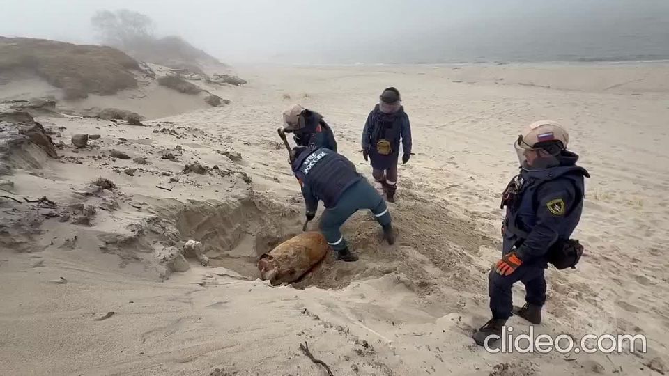 На дюнах Балтийской косы раздался запоздавший взрыв вермахта