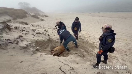 �� ����� ���������� ���� �������� ����������� ����� ��������