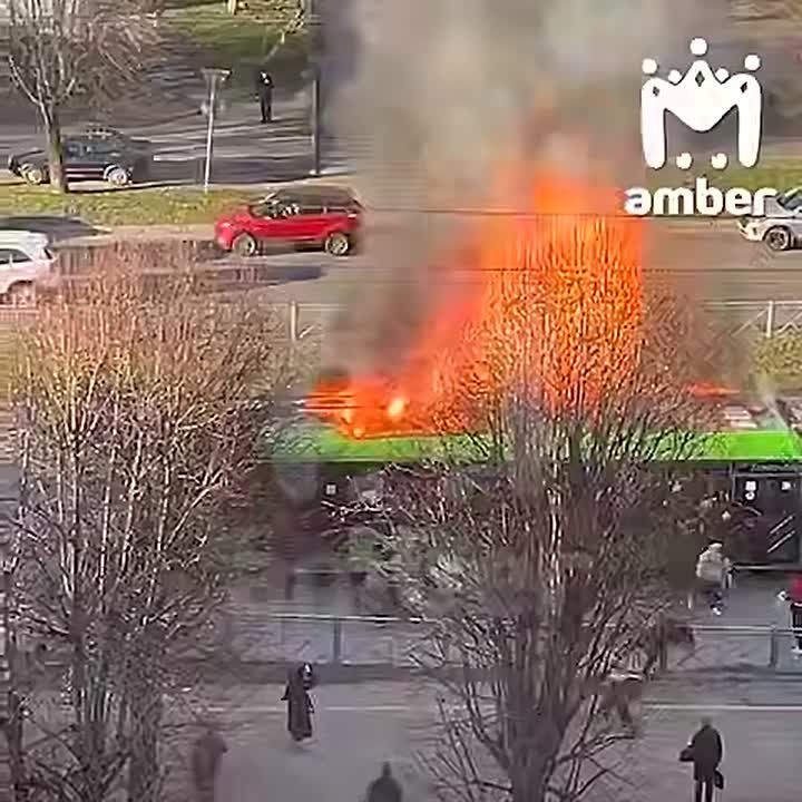 ����������, ������� ������ �� ����������, �������� ������ ������ ������