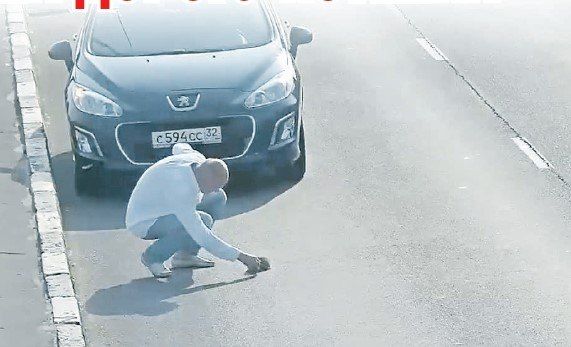 Помните громкую историю спасения котенка на улице Невского в Калининграде? Спустя почти 10 лет мы узнали ее продолжение!