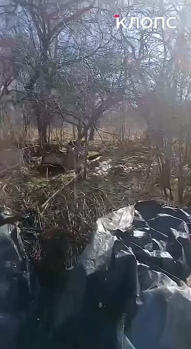 ����� ��������, � ������� ��������: 5 ���� � ������������, ��� �� ������� �������