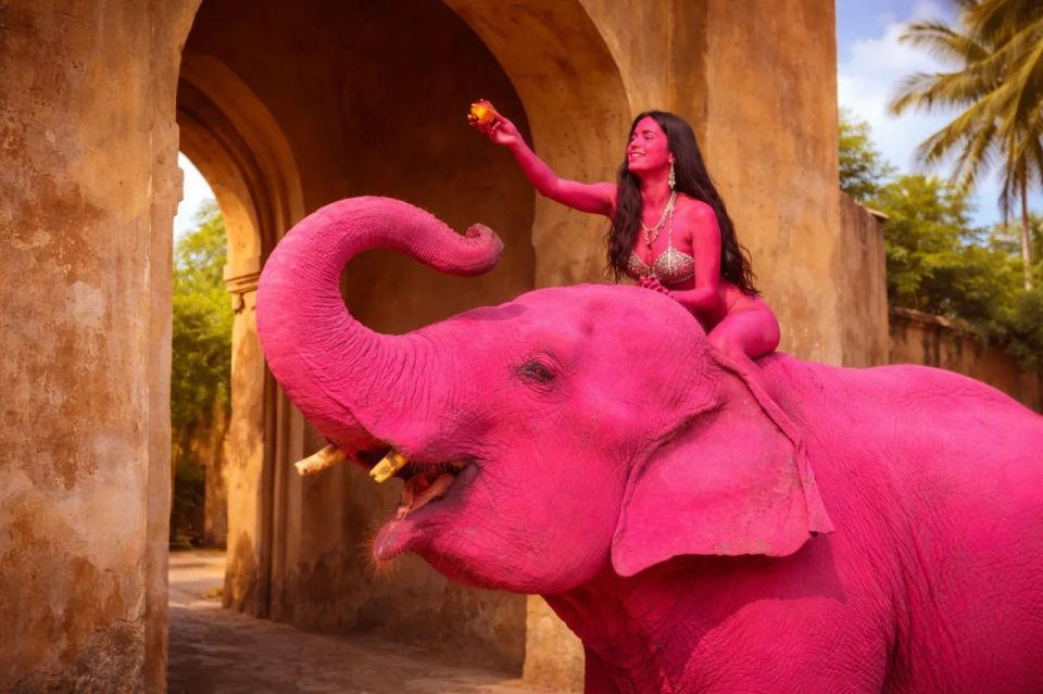 В Индии после скандальной фотосессии умерла розовая слониха