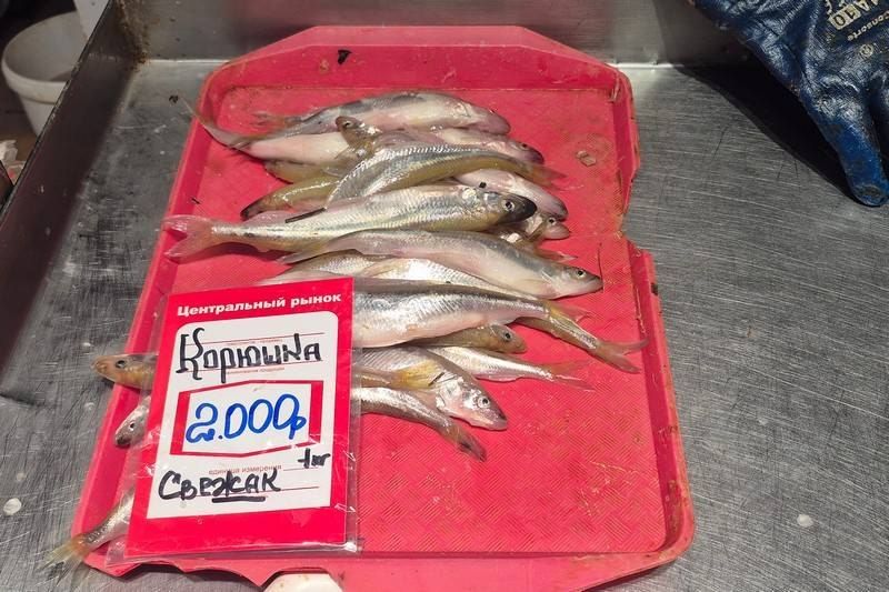 ������ ��� ������������� ���������� �� �������� ������������ ����