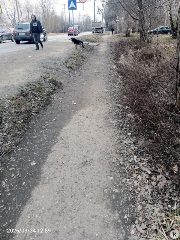 На Емельянова пешеходная дорожка исчезла под слоем грязи