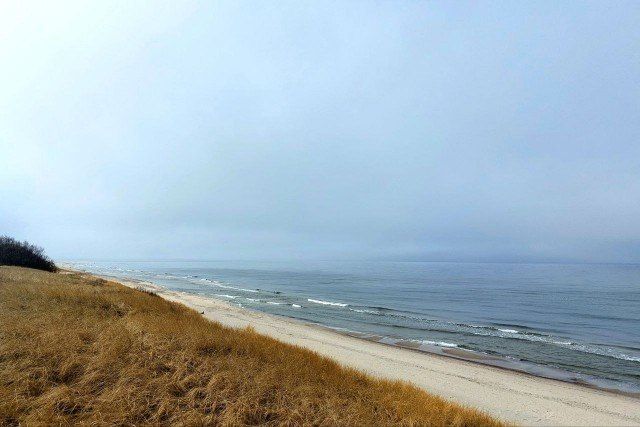 Вода в Балтийском море у побережья Калининградской области начала прогреваться
