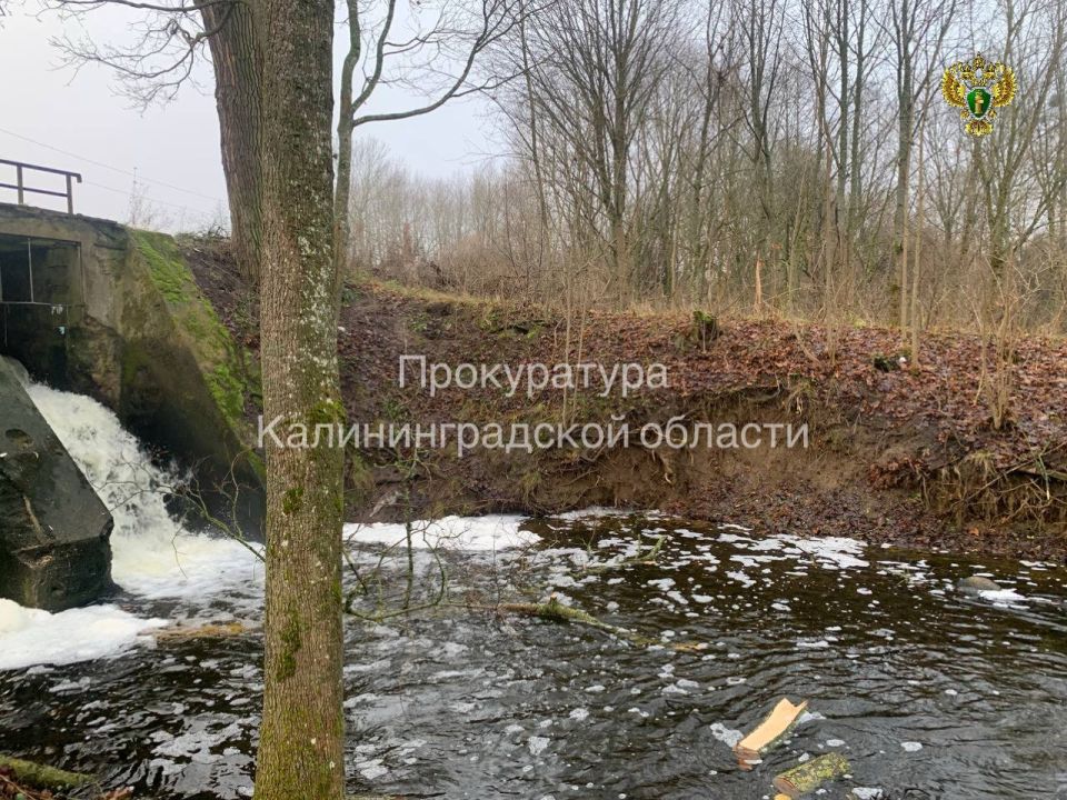 ����������� ��������� ������ ���������� � ��� � ����� � ���������� ������� ����������������� ����������