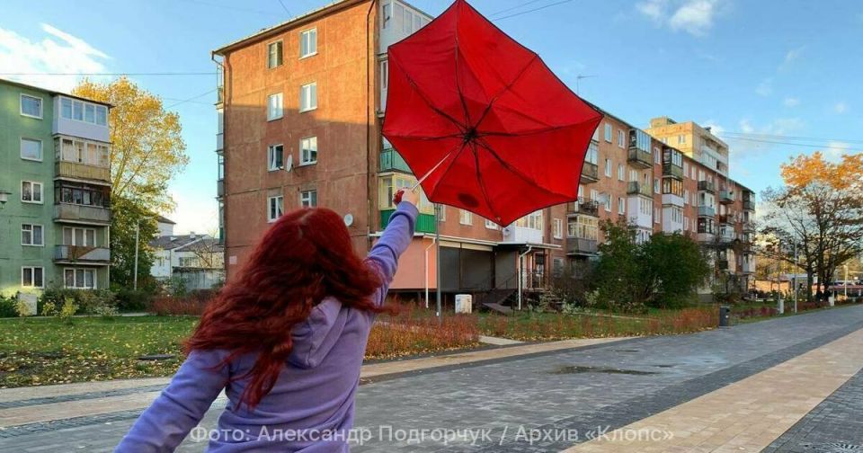 В Калининградской области в субботу с юго-запада задует так, что закроют городские парки