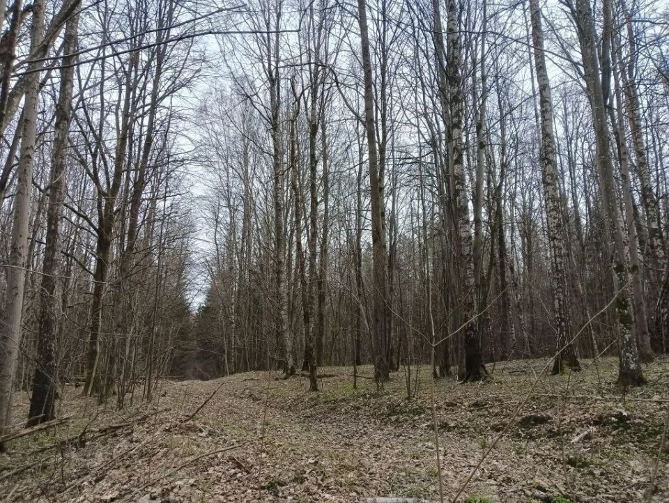 Стало известно, при каких условиях с велосипедистов будут брать деньги в нацпарке «Виштынецкий»